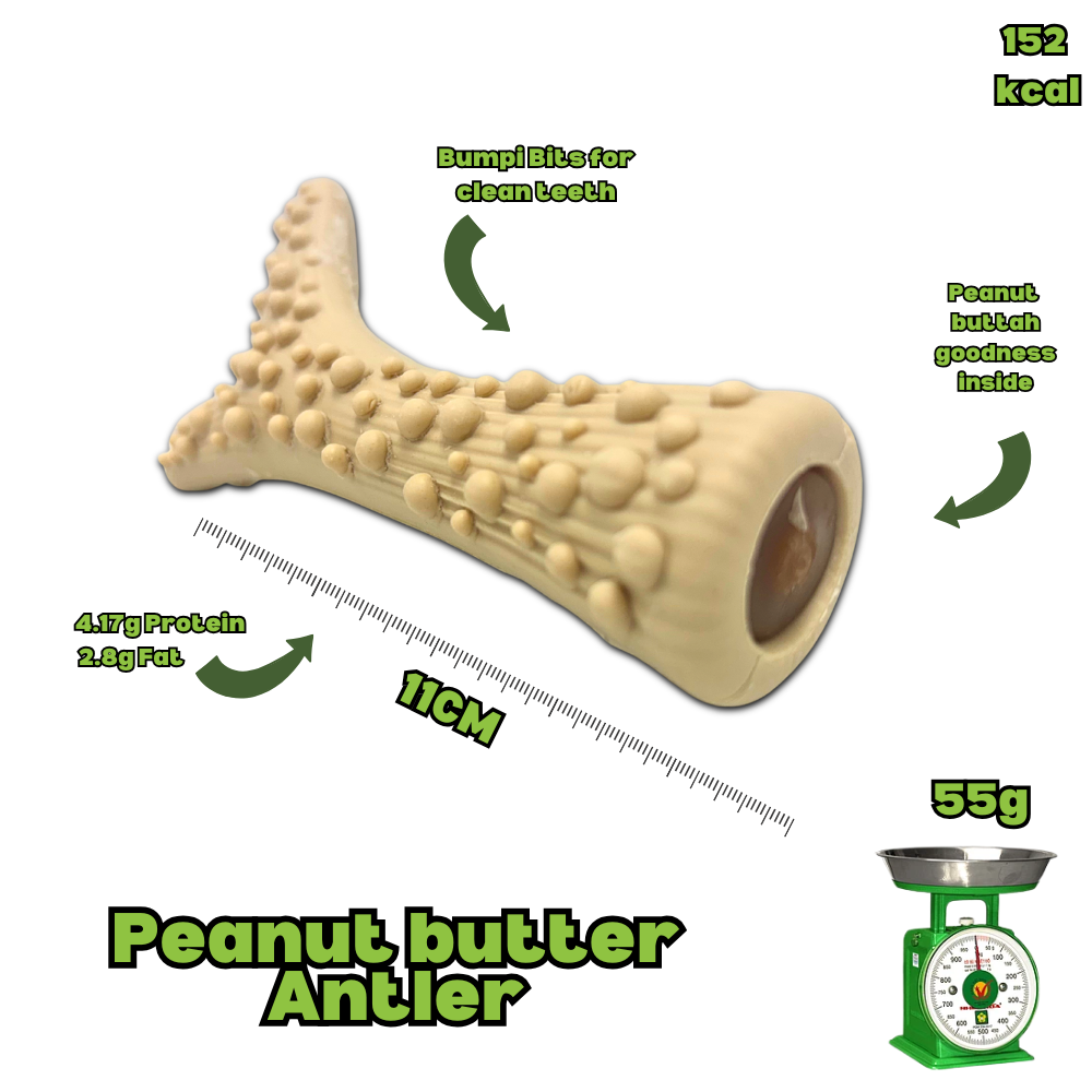 Peanut Butter Antler - Medium