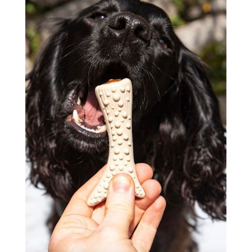 Peanut Butter Antler - Medium