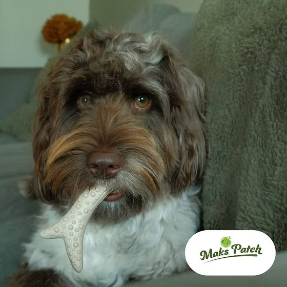 Peanut Butter Antler - Medium