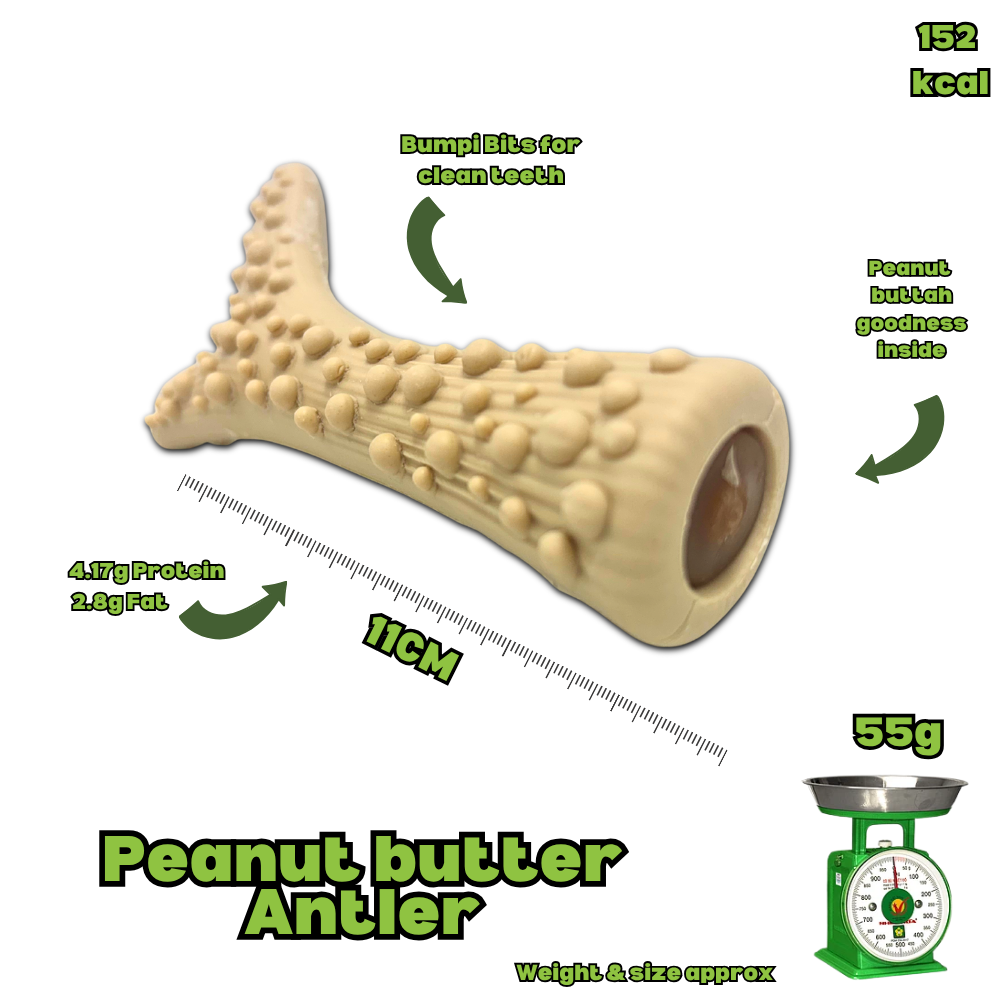 Peanut Butter Antler - Medium