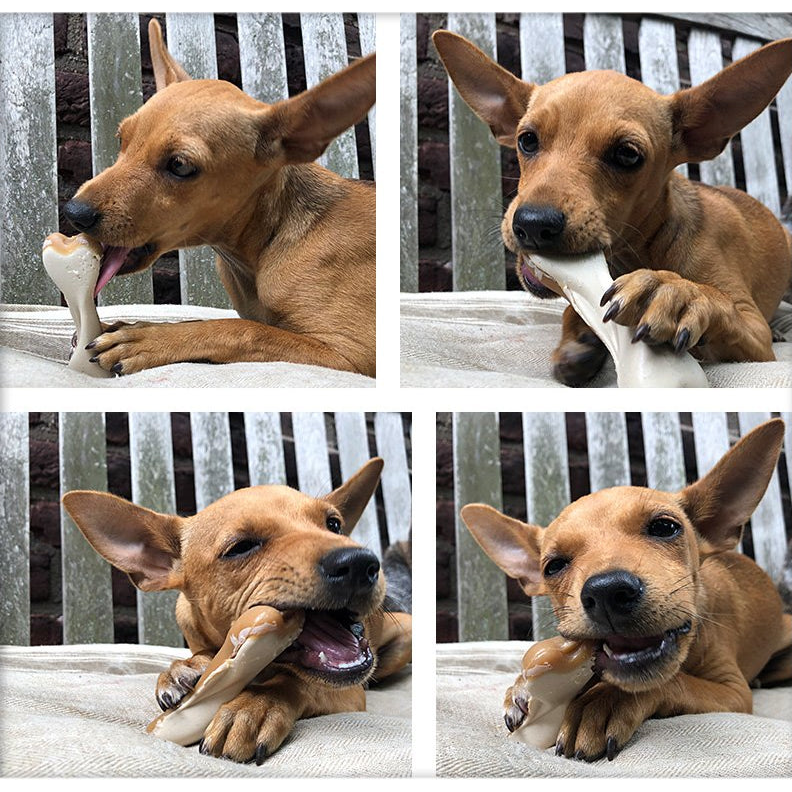 Peanut Butter Dual-Sided Bone - Small