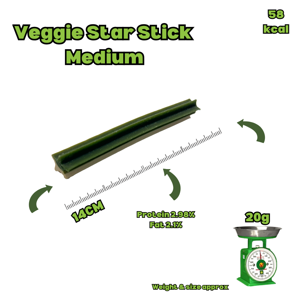 Veggie Star Stick - Medium