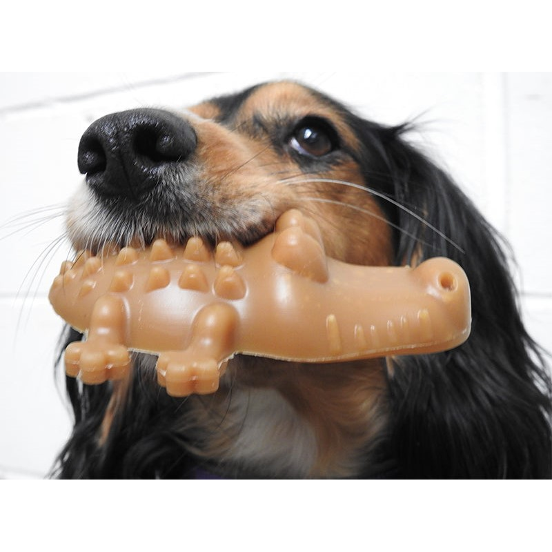 Peanut Butter Crocodile - Large