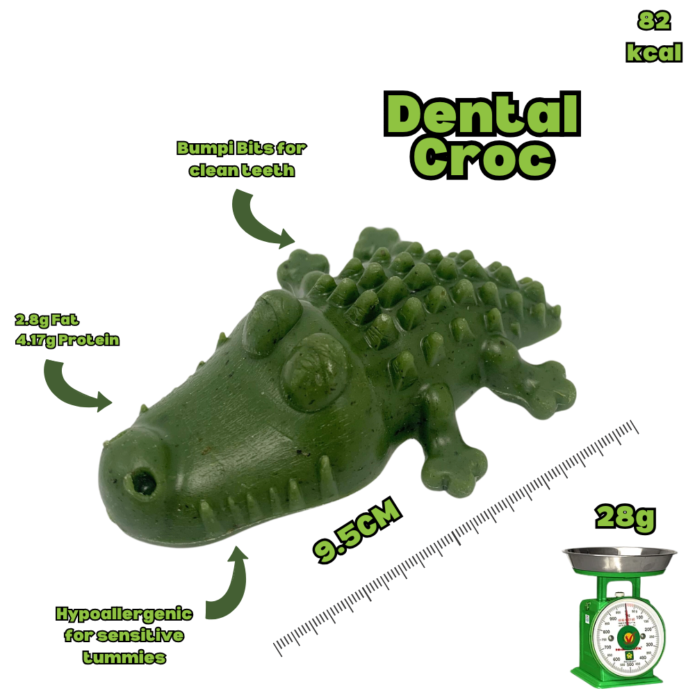 Hypoallergenic Dental Crocodile - Medium