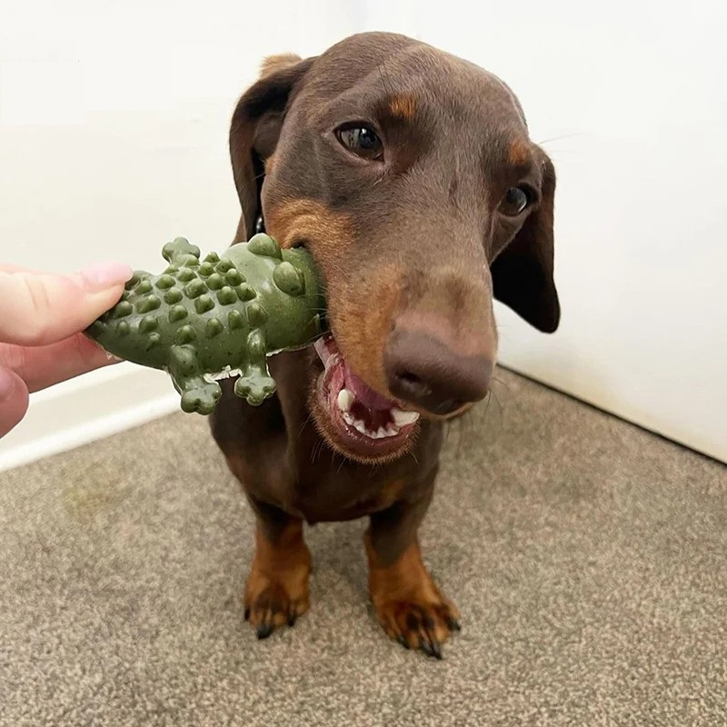 Hypoallergenic Dental Crocodile - Medium