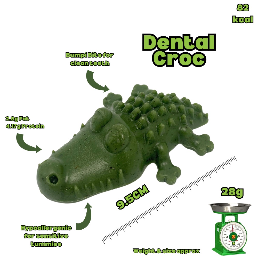 Hypoallergenic Dental Crocodile - Medium
