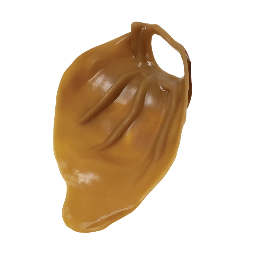 Veggie Pig Ear