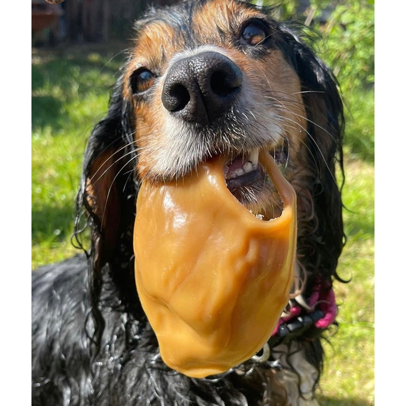Veggie Pig Ear