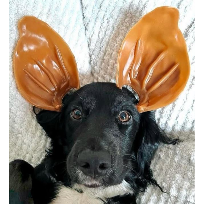 Veggie Pig Ear