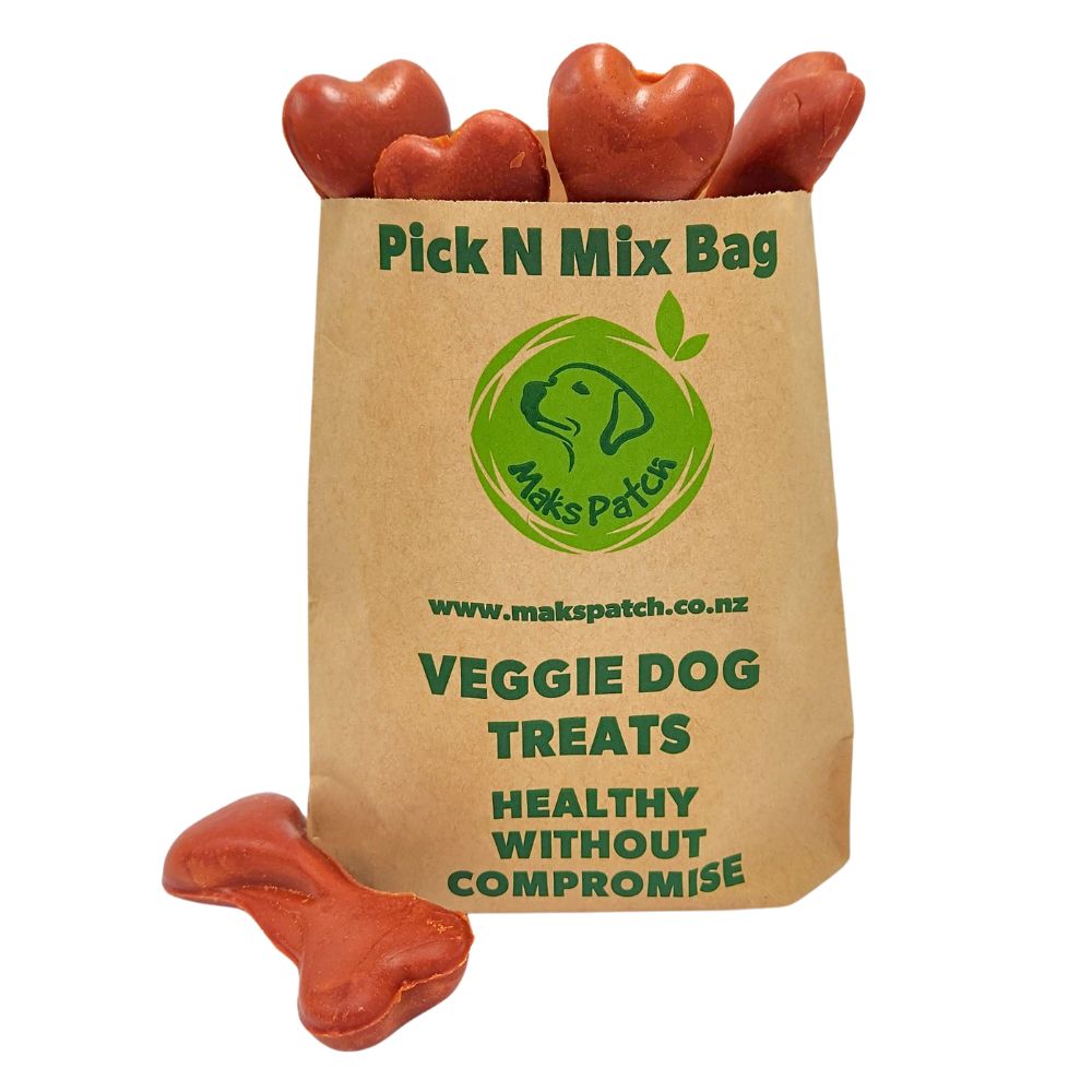 Pumpkin & Carrot Bone - Medium