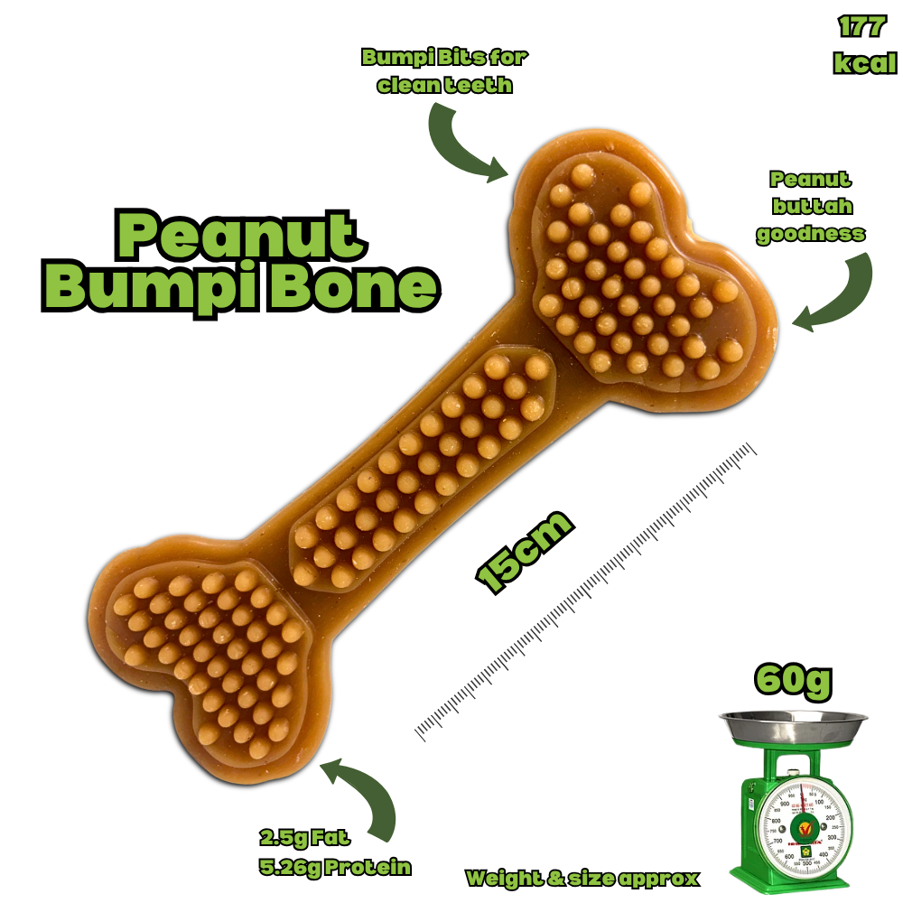 Peanut Butter Bumpi Bone - Large