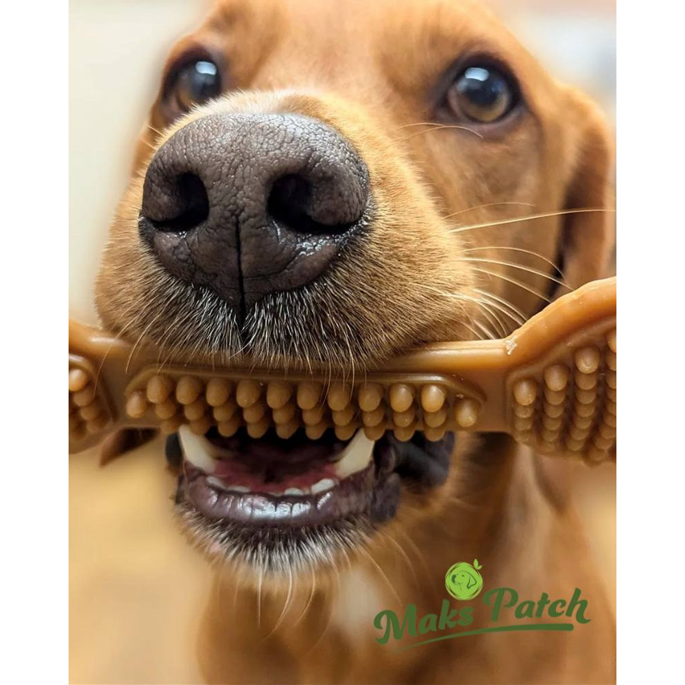 Peanut Butter Bumpi Bone - Large